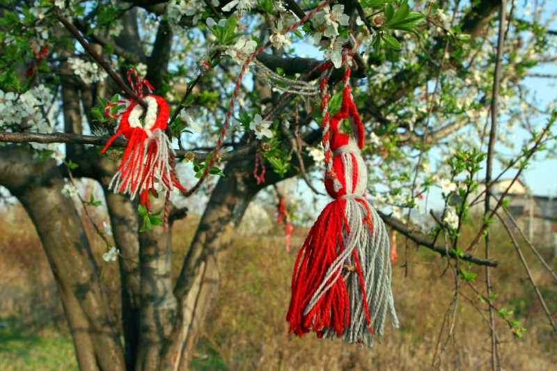 Tree decorated with amulets. Photo by Flickr user Niv Singer (CC BY-SA).