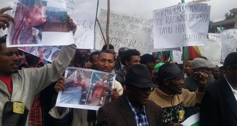 Oromo protesters gather in Addis Ababa. Flickr image uploaded by user Gadaa.com.