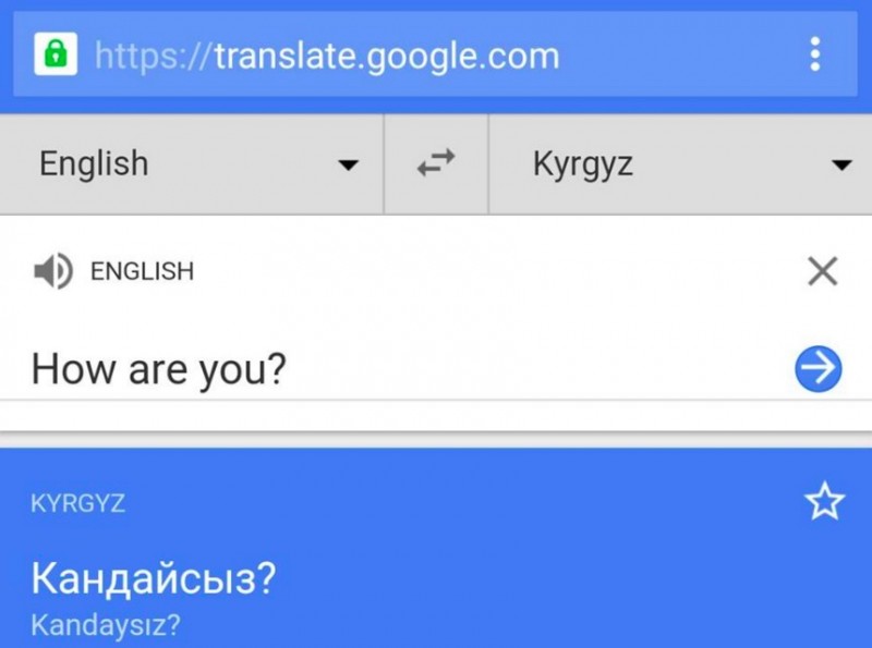 Screenshot of Google Translate in Kyrgyz shared on Tilek Mamutov's Facebook page. 