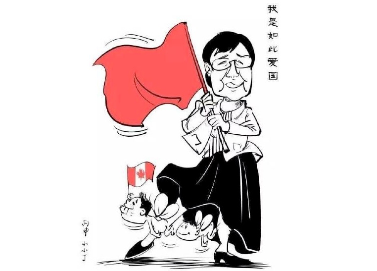 A caricature of Lin Yu Hong's love for China and her son circulated online.