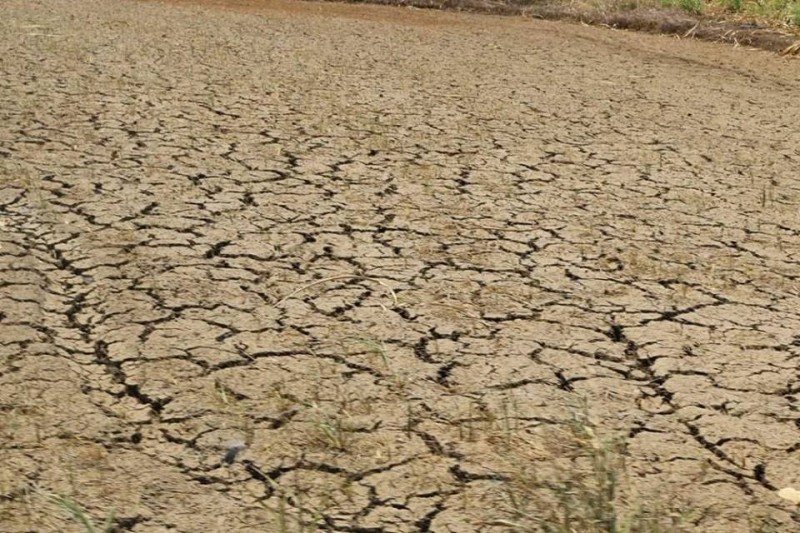 Drought has spread in several provinces of Mindanao Island. Photo from the Facebook page of RMP-NMR
