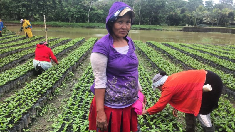 Марица Бландон, кофейный фермер из горной части Никарагуа сделала первый тест Папаниколау в 47 лет. У нее был обнаружен ВПЧ, и женщине назначили лечение. Бландон - мать-одиночка. Если бы она умерла от рака шейки матки, никто бы не позаботился о ее восьми детях. Шука Калантаки/PRI Credit: Shuka 