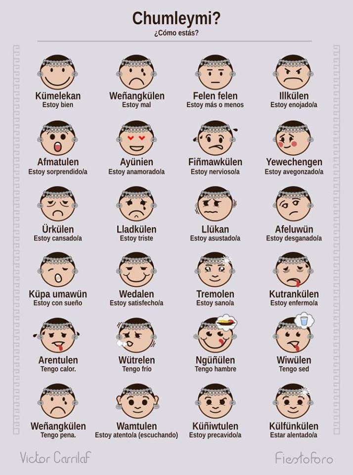Emojis depicting Mapuche culture. Republished with permission. 