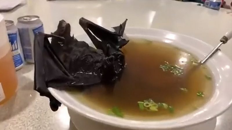 Viralna fotografija supe od šišmiša koja je deo viralnog video snimka koji ukazuje da su kineski ljubitelji mesa šišmiša krivi za epidemiju.
