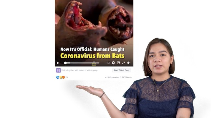 Une présentatrice commente une vidéo de désinformation sur les chauves-souris et le coronavirus