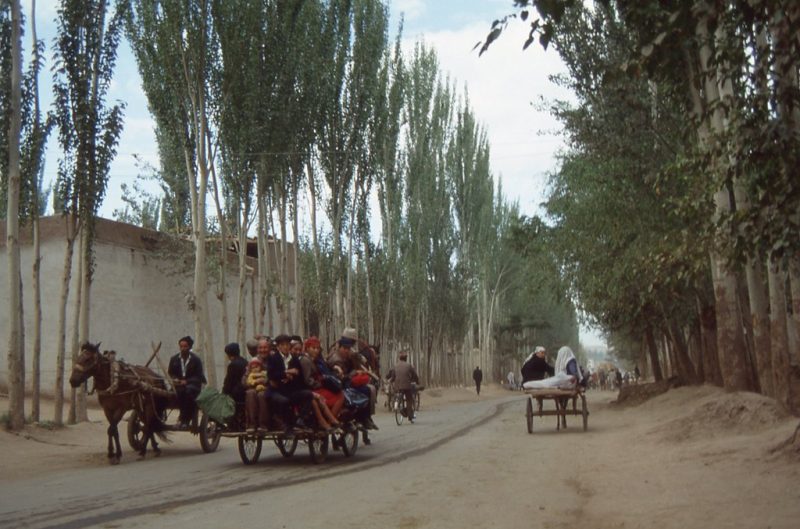 Sur une route bordée d'arbres, trois carioles tirées par un cheval chacune, circulent. En arrière plan, on distingue des personnes marchant sur la route.