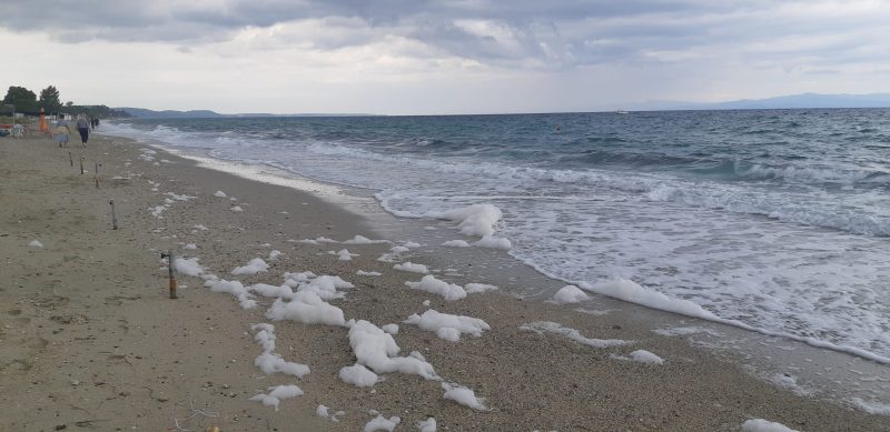 Morve de mer sur une plage en Grèce