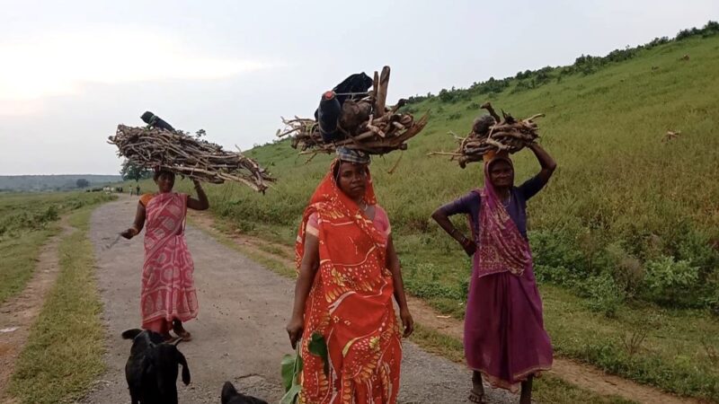 Manikpur, UP: Kol adivasis travel to nearby cities via train to sell firewood, a primary source for their livelihood which took a major hit during the nationwide lockdown