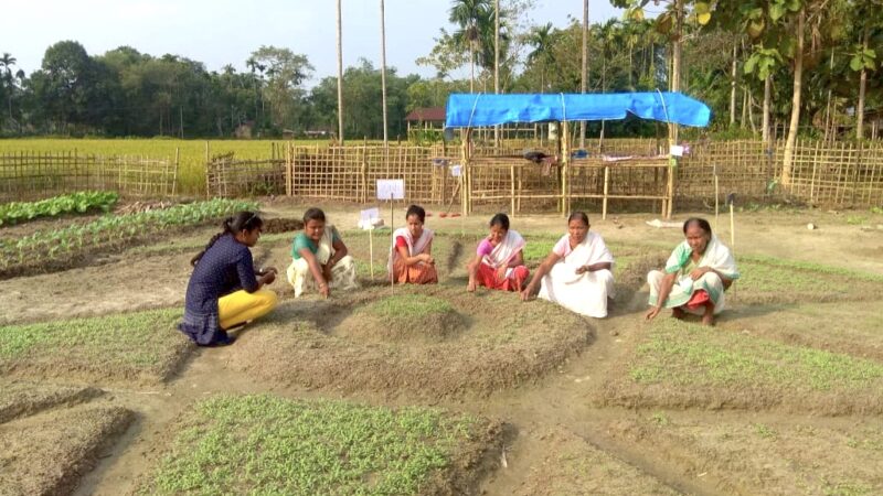 Ashaporna Borah (extreme left) discusses the setting up of a Nutri garden with a self-help group in Phesual village in Jorhat. Image credit: NEADS. Used with permission.