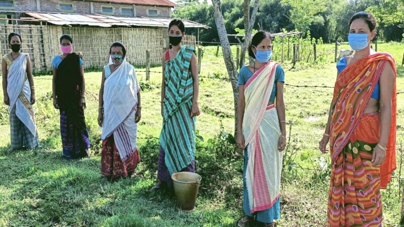 A Self help group of women photographed near their community garden in Morangaon village in Jorhat during COVID times. Image credit: NEADS. Used with permission.