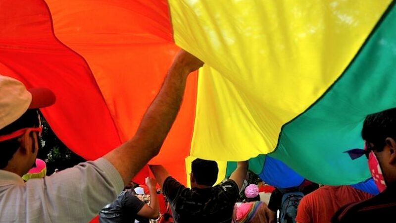 Bengaluru Queer Pride Parade 2009. Image via Wikimedia Commons by Vinayak Das. CC BY 2.0.