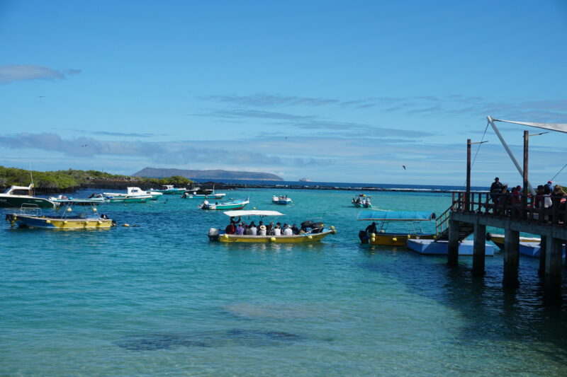Puerto Villamil, Isla Isabela (Albemarle), îles Galápagos, Équateur