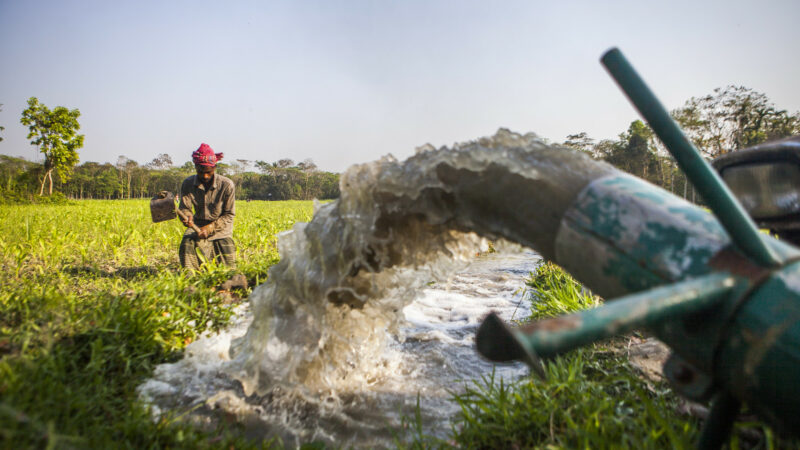Farmers irrigate their land pumping groundwater in Bangladesh. Image via Flickr by Ranak Martin/International Maize and Wheat Improvement Center (CIMMYT). CC BY-NC-SA 2.0.