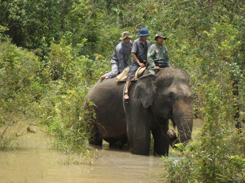 Mahout Masrukin (front) rides the elephant Karnangin on patrol in Way Kambas National Park. Photo by Andi Aisyah Lamboge