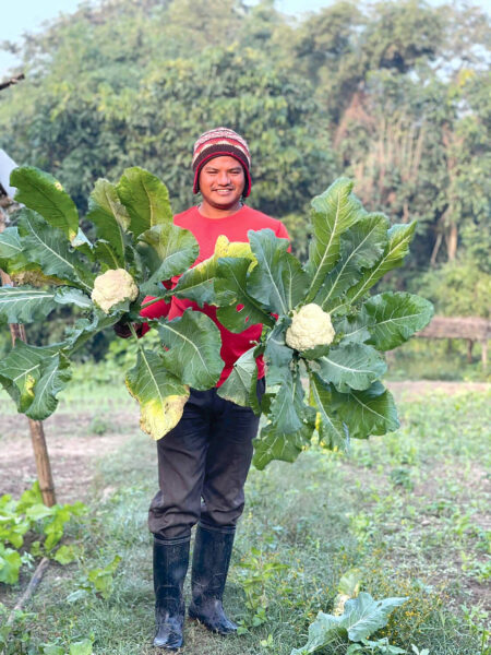 Sudarshan Chaudhary tient un chou-fleur dans chaque main. Chaque legume est entouré de très larges feuilles.
