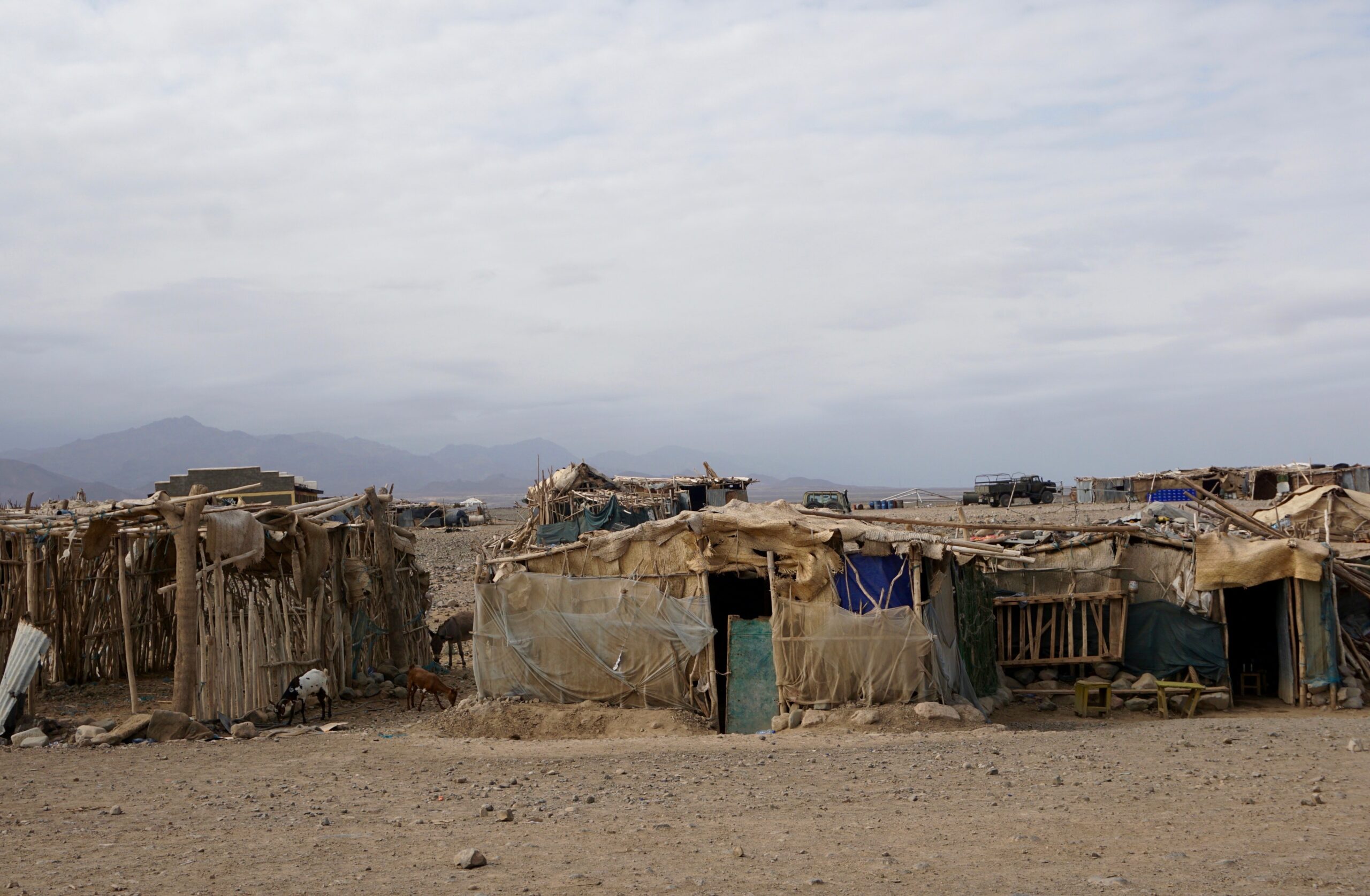 Des huttes comme celles-ci, dans la région Afar en Éthiopie, servent d'abri à de nombreuses personnes déplacées dans la région, au cours de deux années de guerre civile brutale. Crédits image : Marissa Bortlik, Source : Licence UnsplashHuts like these ones in Ethiopia's Afar region, provide shelter for many of the region's displaced, amid two years of brutal civil war. Image Credits; Marissa Bortlik, Source: Unsplash