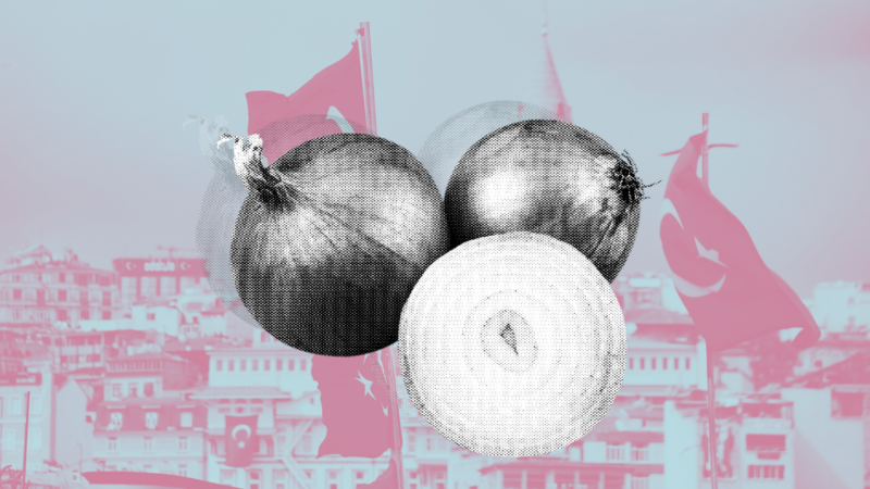 An illustration showing onions (in black and white) in the foreground and a Turkish city with flags (with a pink filter on) in the background.