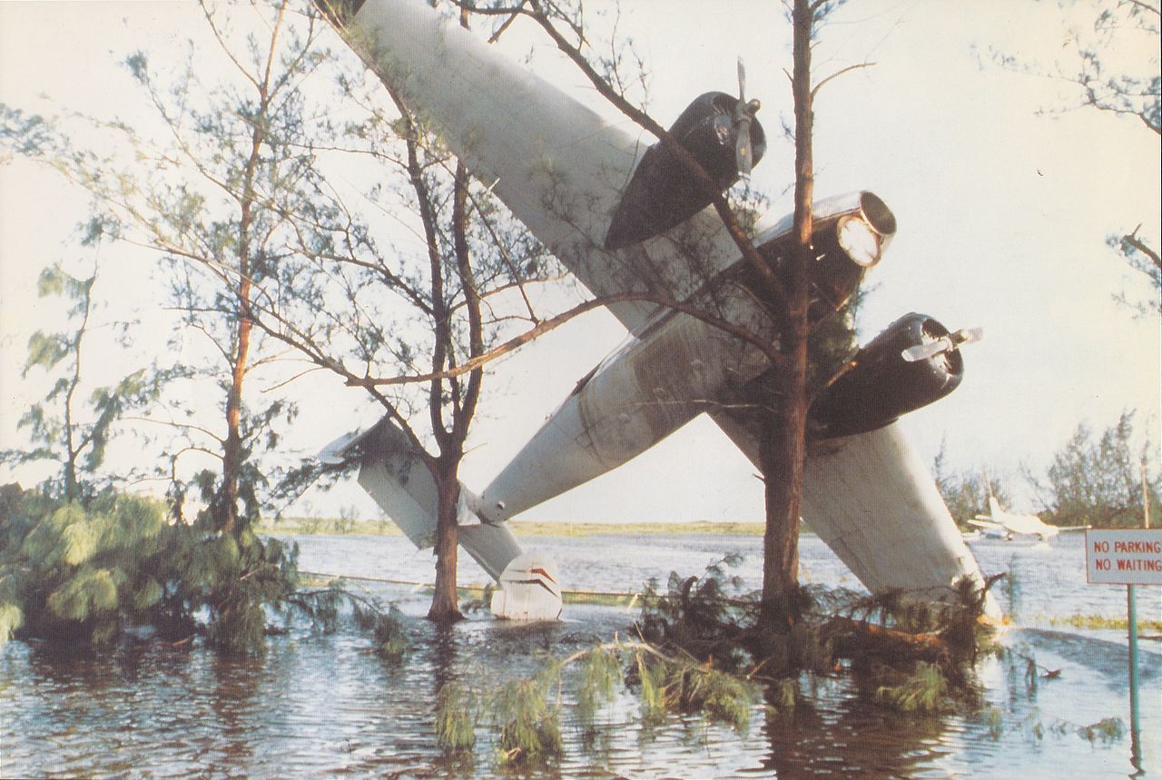 A Beechcraft 18 aircraft stuck in tree at Jamaica's airport in Kington after Hurricane Gilbert in September 1988.