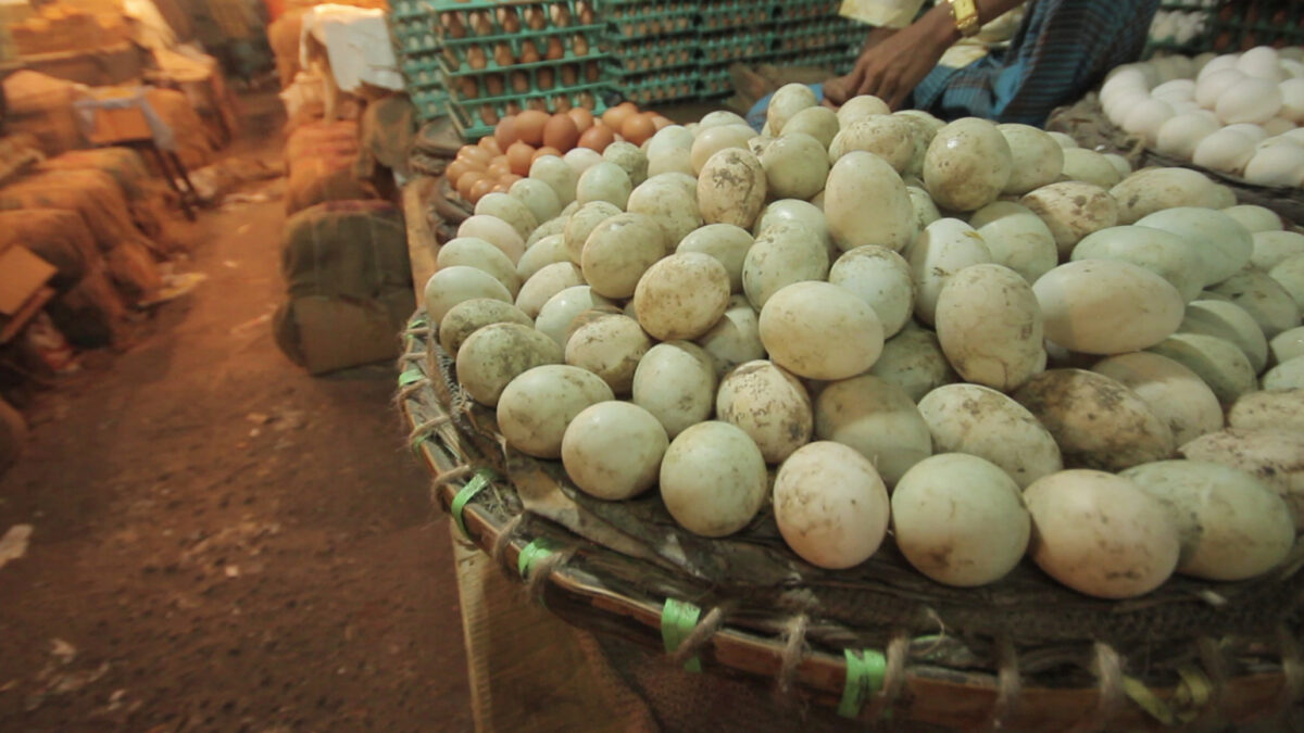 Eggs for sale at a bazar in Dhaka. Image via Flickr by IFPRI. CC BY-NC-ND 2.0.